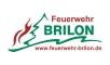Brilon Logo