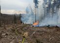 WALDBRAND BESCHÄFTIGT FEUERWEHR STUNDENLANG