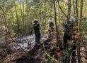 Wald- und Flächenbrand