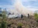 Abschlussbericht zum Waldbrand in Alme