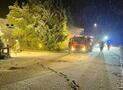 Kaminbrand in Alme