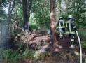 Brennendes Unterholz: Feuerwehr schnell zur Stelle