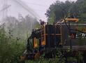 Führungskräfte Feuerwehr Meschede bei Wald und Holz NRW