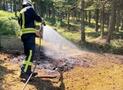 Aufmerksame Wanderer verhindern Waldbrand