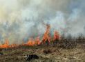 F 5 Wald - Waldbrand