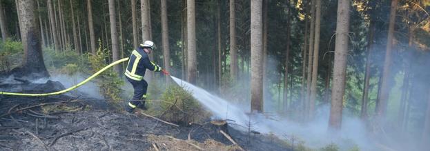 Waldbrand bei Endorferhütte - drei Löschzüge der Feuerwehr Sundern im Einsatz