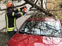 DAS ORKANTIEF “SABINE” BESCHÄFTIGTE AUCH DIE FEUERWEHREN IM STADTGEBIET ARNSBERG