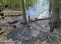 FEUERWEHR ENSE UND ARNSBERG BEKÄMPFEN WALDBRAND