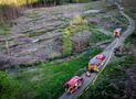 PROBE FÜR DEN ERNSTFALL GEGLÜCKT – WALDBRANDÜBUNG IM BASISLÖSCHZUG 1