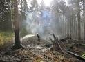 Waldbrand zwischen Breitenbruch und Neuhaus 