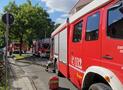 Wohnungsbrand ohne Menschenleben in Gefahr! 