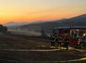 WALD- UND FLÄCHENBRAND