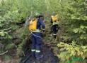 Waldbrand im Bürgerwald am Kyrill-Tor