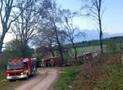 Waldbrandübung der Löschgruppe Scharfenberg