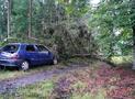 PKW unter Baum; kreisübergreifende Übung