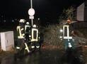 Sturm Sabine: Kaum Einsätze im Stadtgebiet