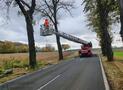 Sturmtief Ignatz wütet im HSK – zahlreiche Einsätze auch in Marsberg