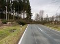 Weitere Sturmschäden: 20 Bäume blockieren Fahrbahn