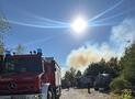 Wald / Flächenbrand