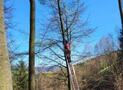 Gleitschirmflieger aus 12 Meter Höhe gerettet