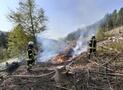 Schnelles Eingreifen bei hoher Flächenbrandgefahr verhindert Schlimmeres