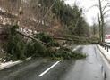 Sturmtief am 18.01. führt zu gesperrten Straßen und 41 Feuerwehreinsätzen