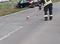 Verkehrsunfall bei Menkhausen