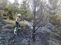 Waldbrand Sundern-Stemel: FFW Stadt Schmallenberg leistet überörtliche Hilfe