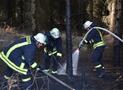 Erneuter Waldbrand im Stadtgebiet