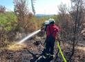 F 0 Kleinbrand - Brandnachschau