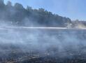 F 3 Wald – Wald-/Flächenbrand