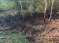 F 3 Wald Waldbrand, Flächenbrand