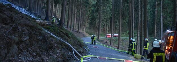 Waldbrand (F 4Wald)